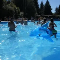 Camping Le Moulin des Sources
