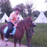 camptom-shuvalovka-st-petersburg-deggm