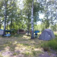camptom-shuvalovka-st-petersburg-hhqty