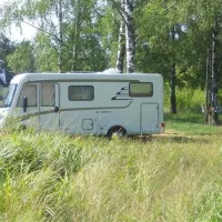 camptom-shuvalovka-st-petersburg-lcrmx