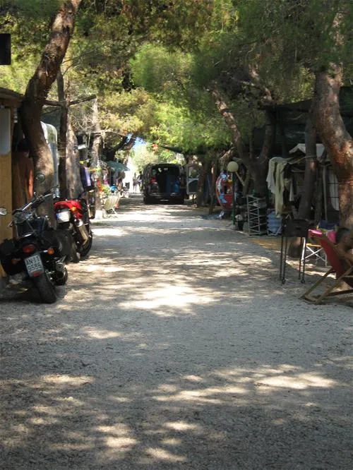 campeggio-calabria-verde-marina-di-zambrone-jhhku