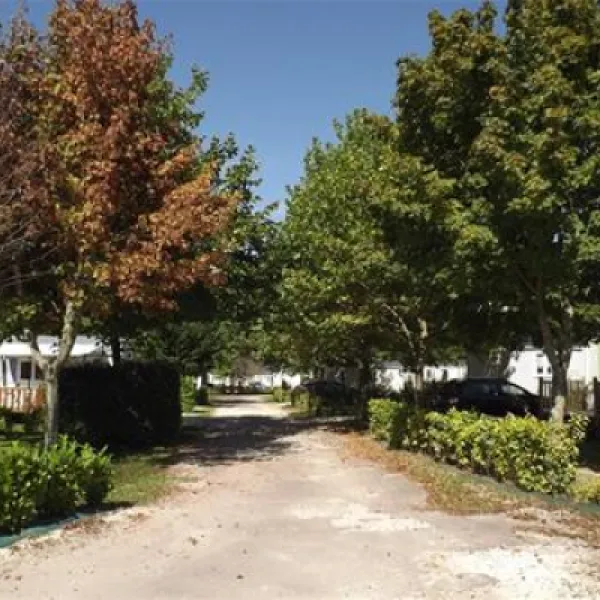 camping-le-paradou-parcoul-cvep3