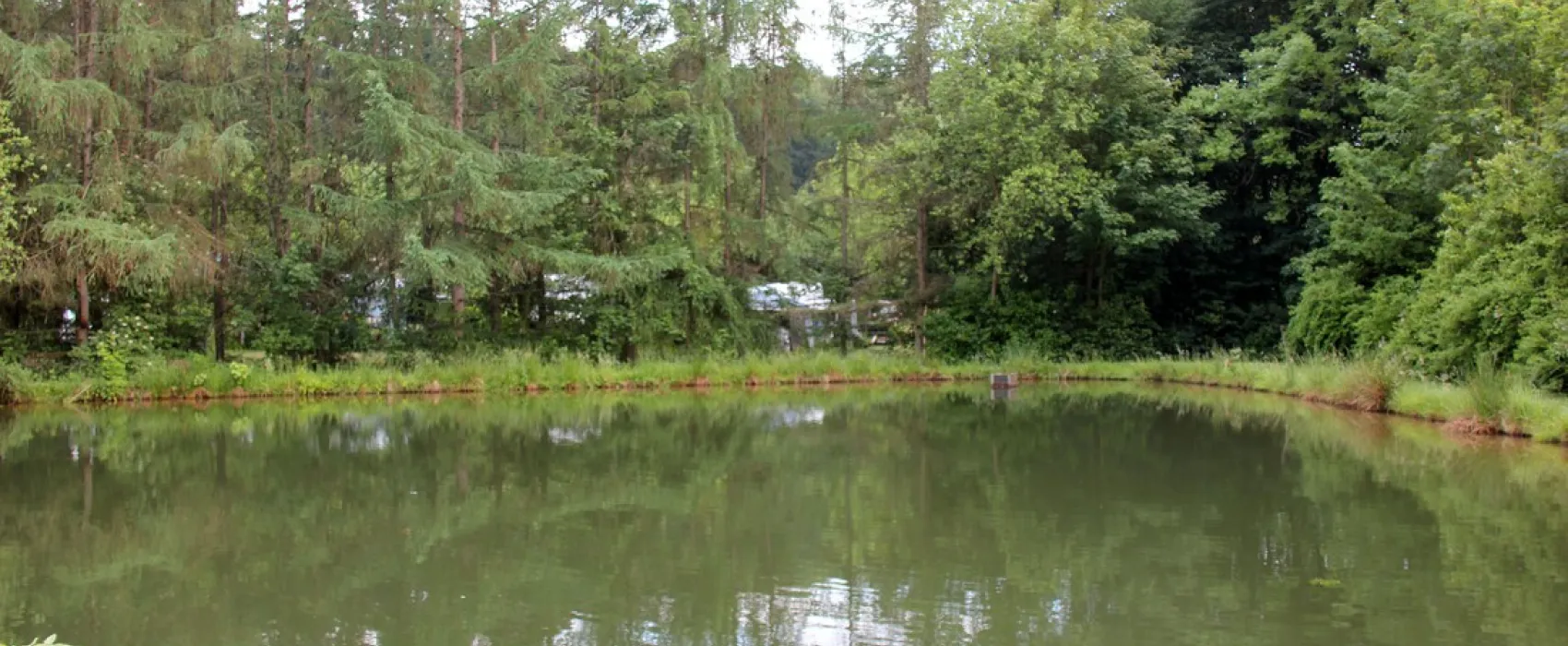 Campingpark Waldwiesen