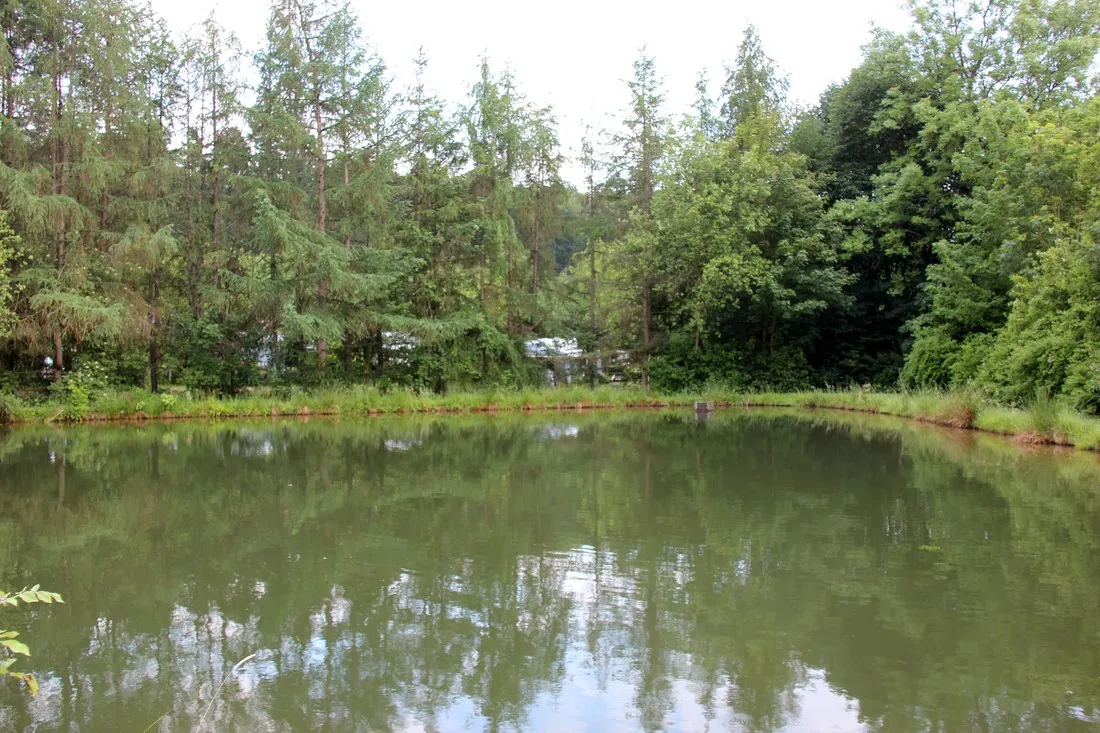campingpark-waldwiesen-birkenfeld-ppg6s