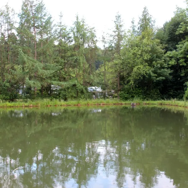 campingpark-waldwiesen-birkenfeld-ppg6s