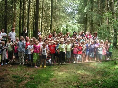 camping-de-hertshoorn-garderen-cjxth