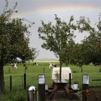de-kei-castricum-sks07