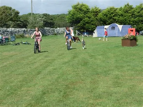 sarnfaen-farm-barmouth-orflc