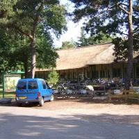 Camping De Negorij