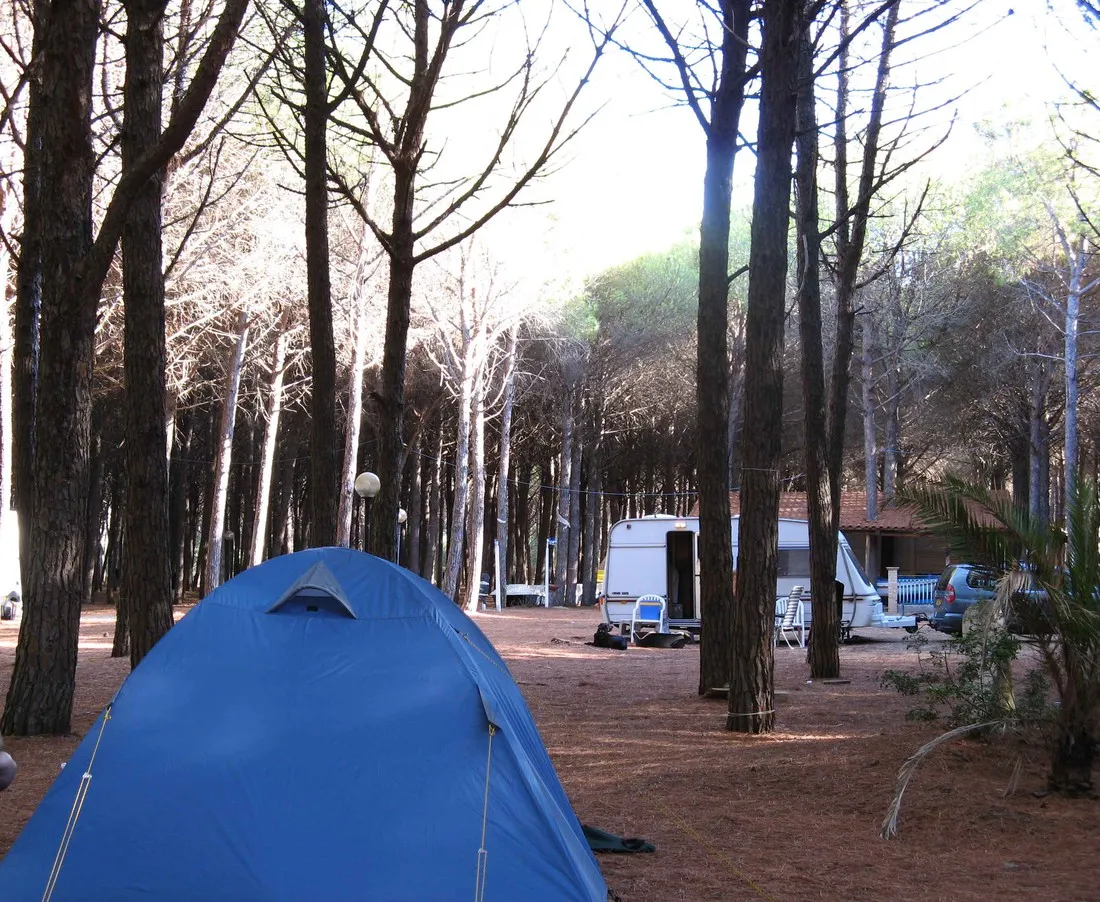 campeggio-pineta-mare-pizzo-xujyu