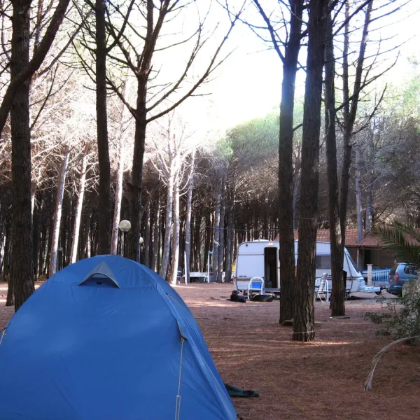 campeggio-pineta-mare-pizzo-xujyu