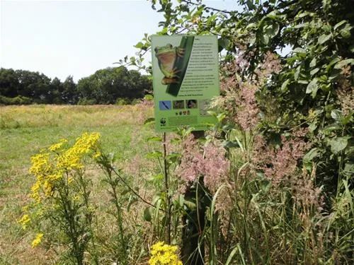 naturcamping-buchholz-buchholz-dqteo