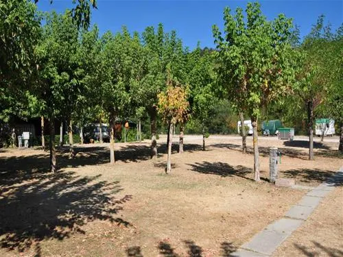 campeggio-riva-del-setta-rioveggio-mfm9x