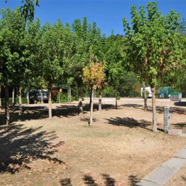 campeggio-riva-del-setta-rioveggio-mfm9x