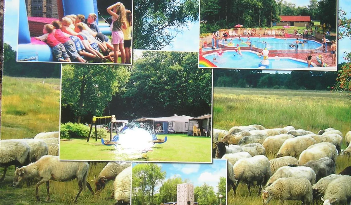 charme-camping-heidepark-lemelerveld-962kq