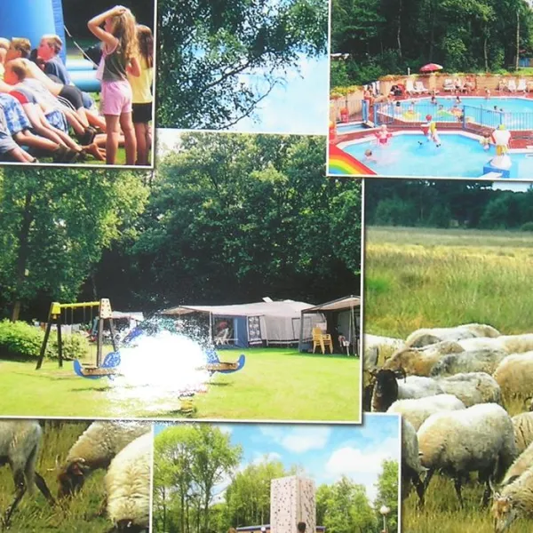charme-camping-heidepark-lemelerveld-962kq