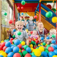 charme-camping-heidepark-lemelerveld-wzgwt
