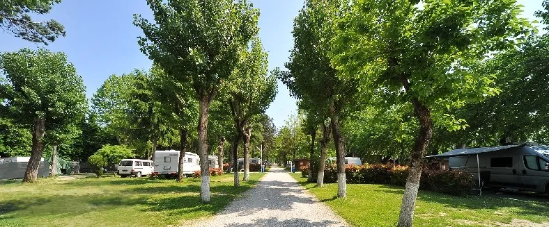 piazzola4