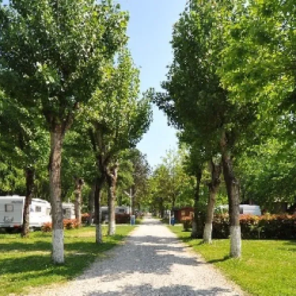 Camping Rialto Village