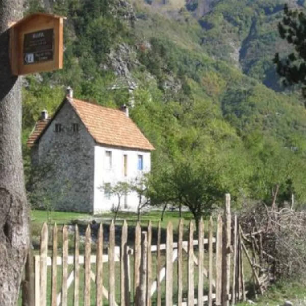 camping-rupa-guesthouse-camping-theth-rdamh