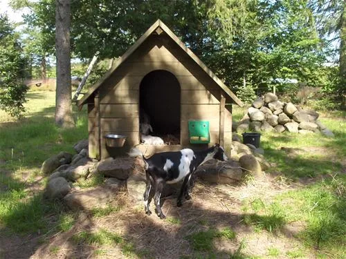 a35-sindal-camping-kanoudlejning-sindal-si3hs