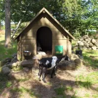a35-sindal-camping-kanoudlejning-sindal-si3hs