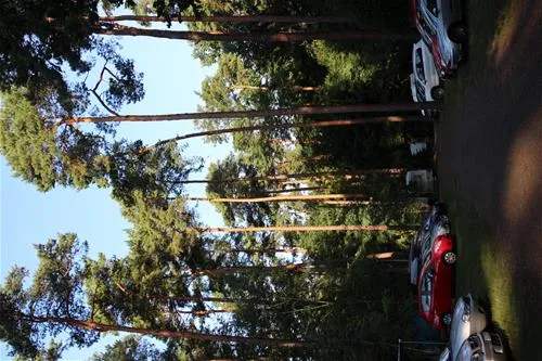 campingplatz-icanos-seddiner-see-66m5a