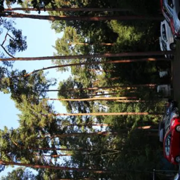 campingplatz-icanos-seddiner-see-66m5a