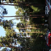 campingplatz-icanos-seddiner-see-66m5a