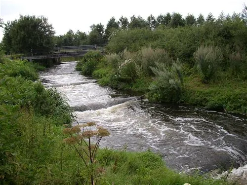 camping-de-blekkenhorst-den-ham-ov-kzt7z