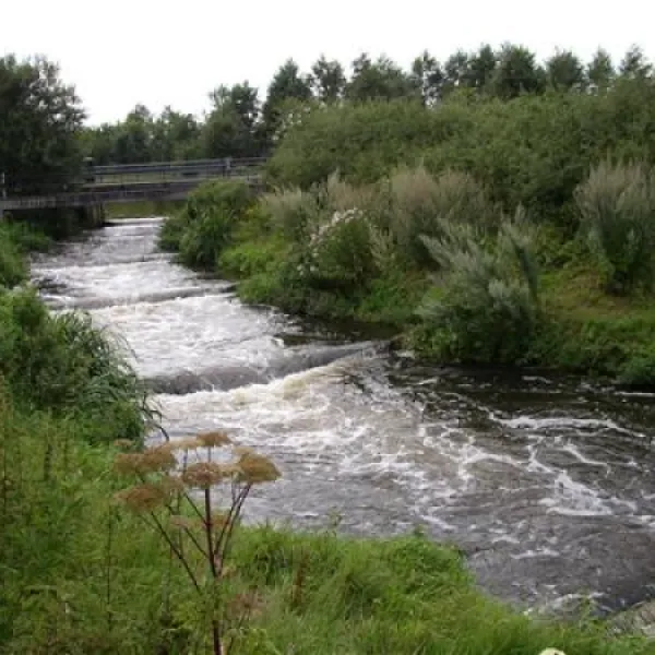 camping-de-blekkenhorst-den-ham-ov-kzt7z