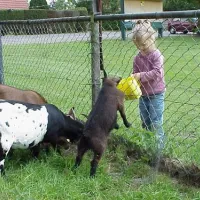camping-de-blekkenhorst-den-ham-ov-mihm3