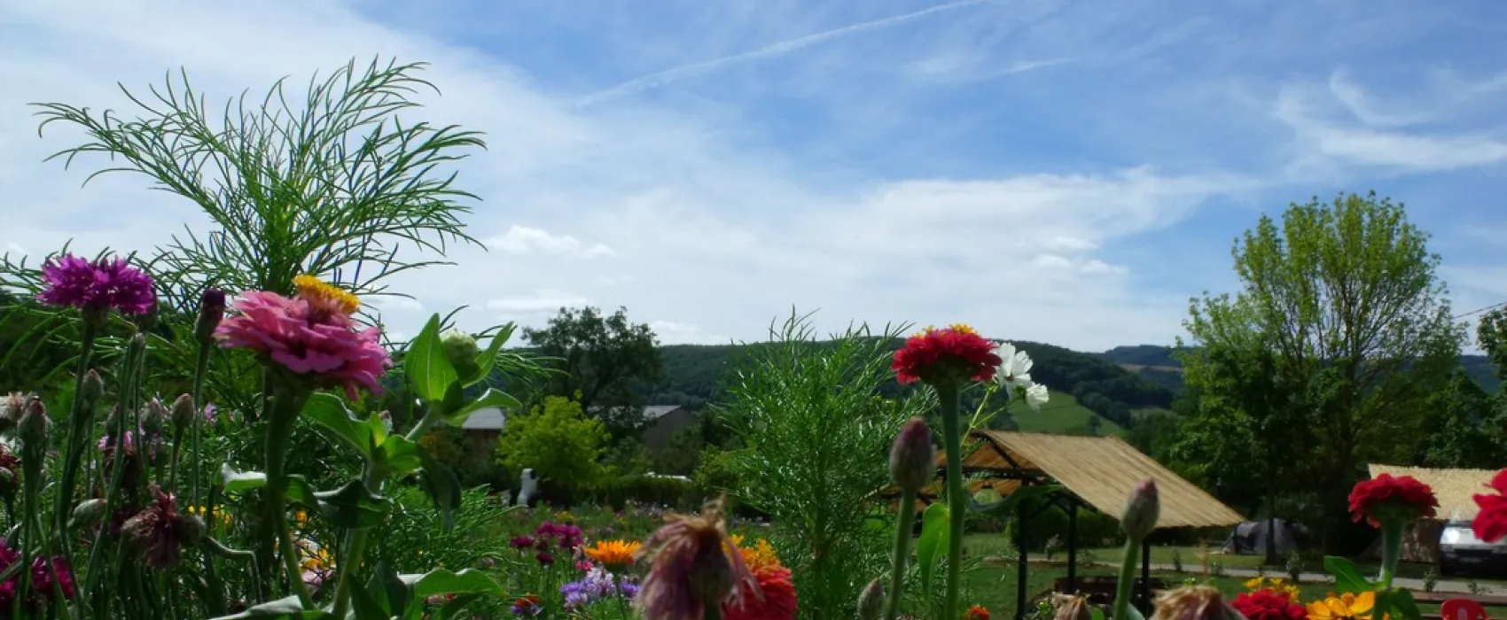 Camping Le Plo