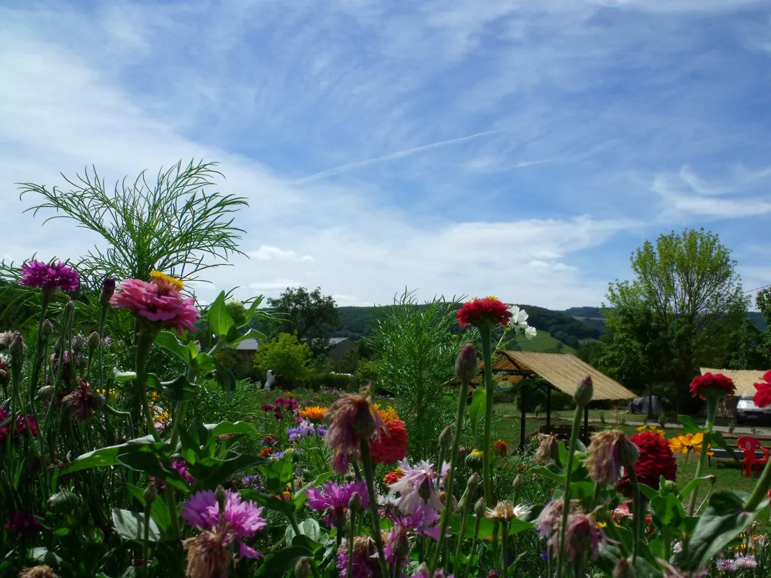 camping-municipal-le-plo-recoules-previnquieres-amxlz