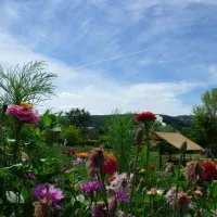 camping-municipal-le-plo-recoules-previnquieres-amxlz