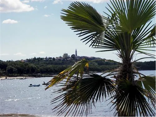 camping-valkanela-vrsar-mo5il