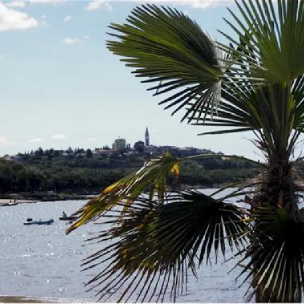 camping-valkanela-vrsar-mo5il