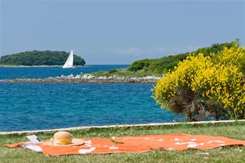 camping-valkanela-vrsar-xfbkt
