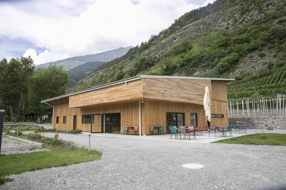 camping-vogelsang-schlanders-iyae4