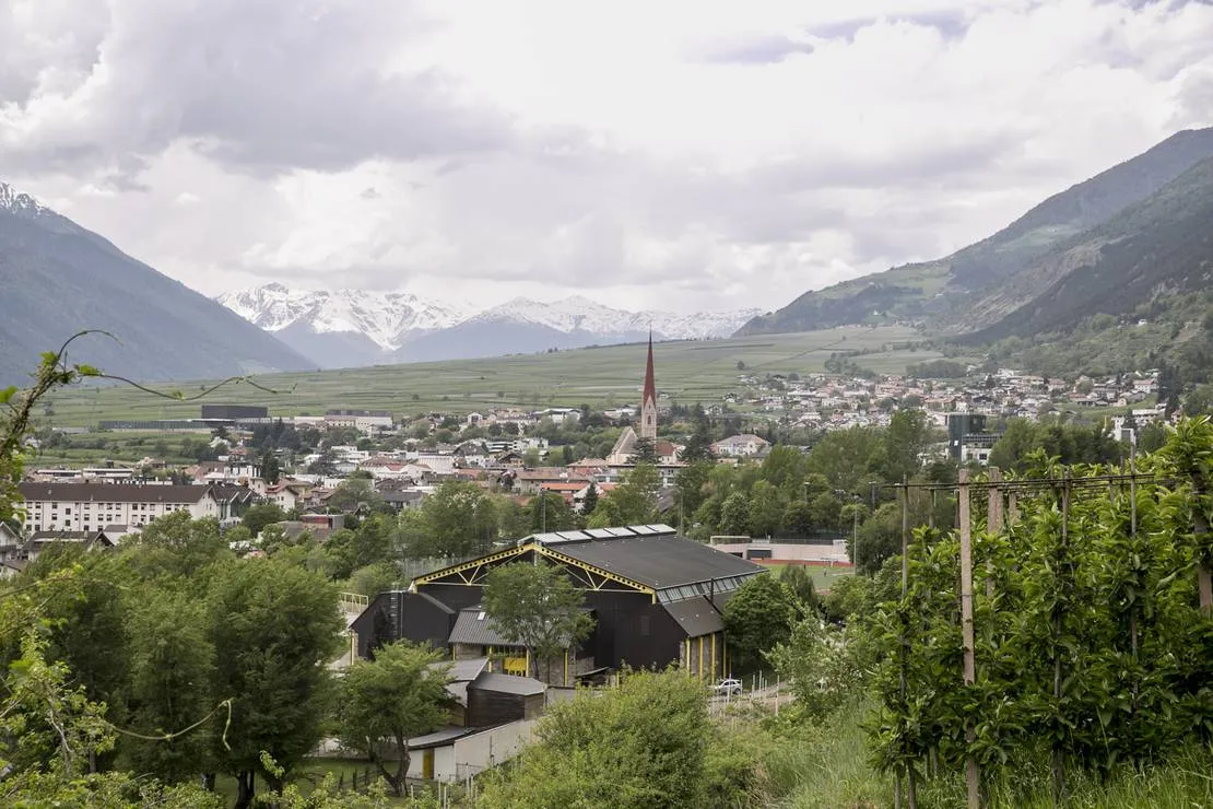camping-vogelsang-schlanders-zboxz