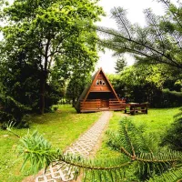 river-park-rest-resort-and-indian-village-zator-ujrnp