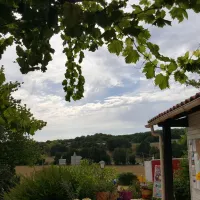 des-bastides-monflanquin-d7djs