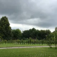camping-u-kremlya-kolomna-md85w