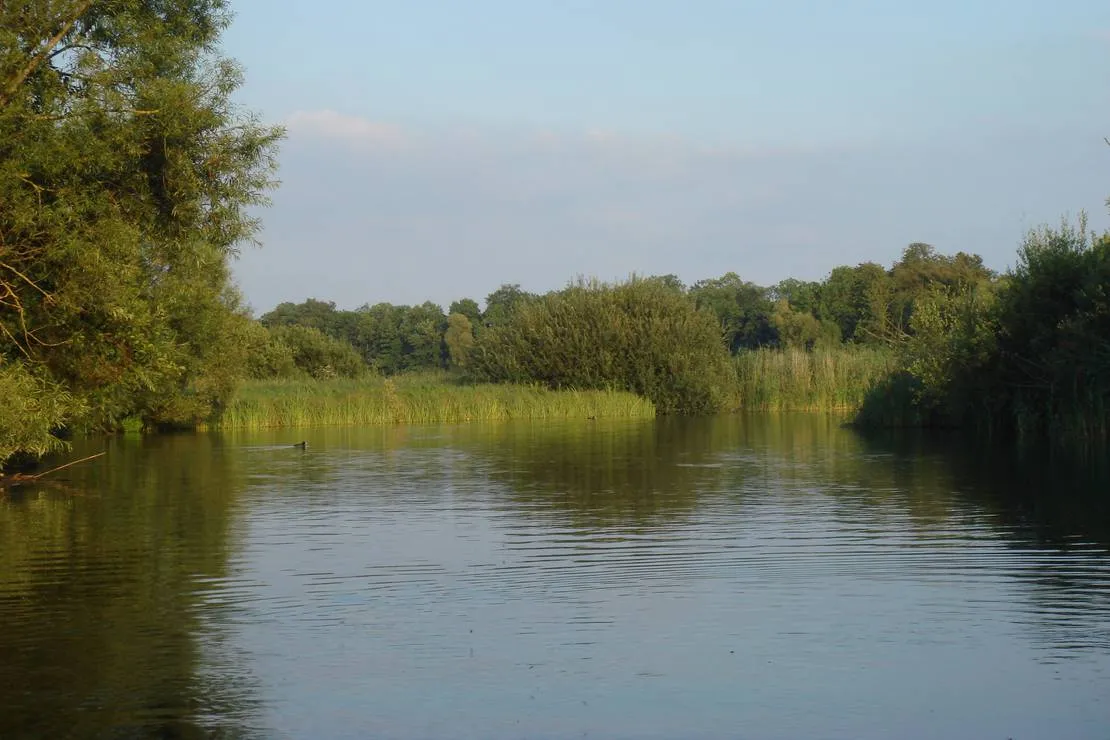 camping-an-der-schwentine-bad-malente-gremsmuhlen-pxrtd