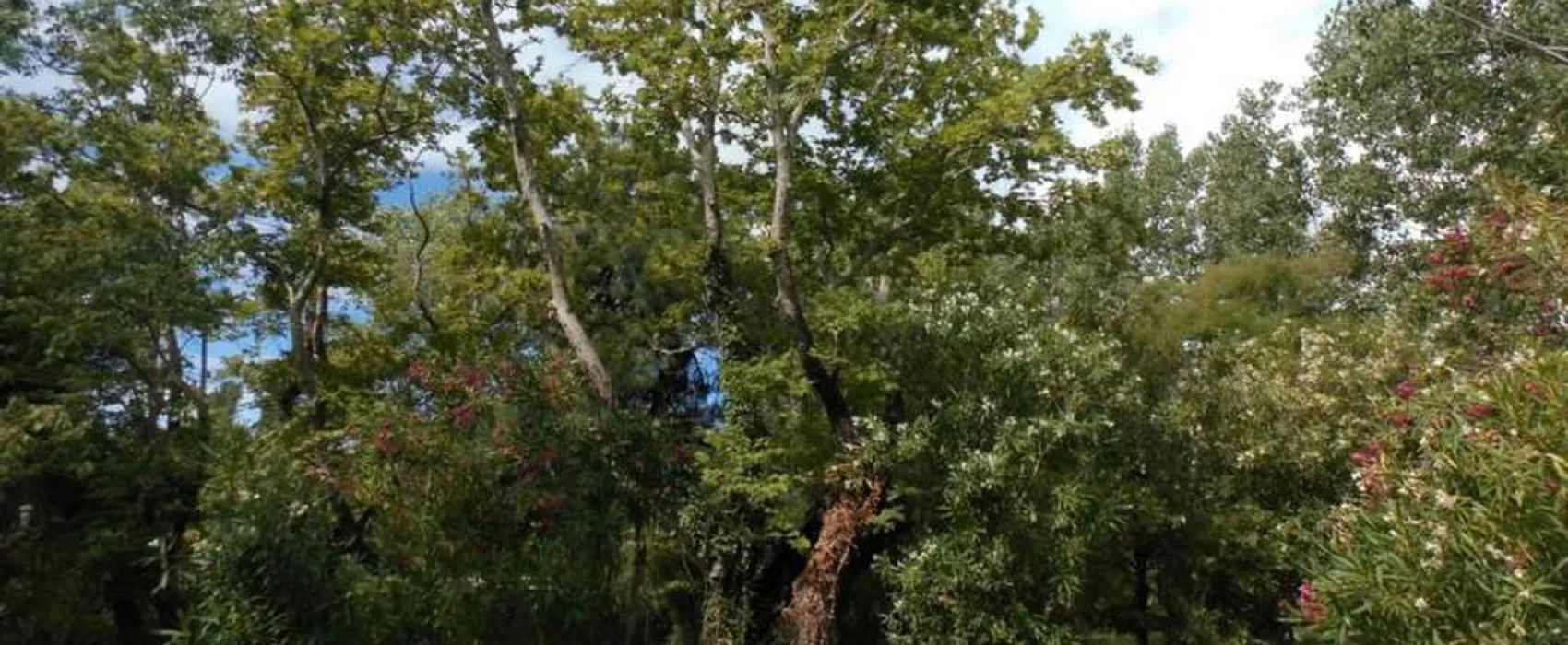 Camping ASPROVALTAS