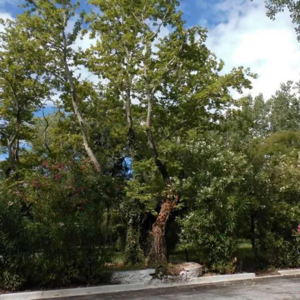camping-asprovaltas-thessaloniki-idl5f