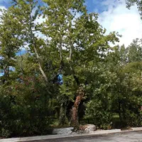camping-asprovaltas-thessaloniki-idl5f