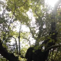 camping-asprovaltas-thessaloniki-oc3gr