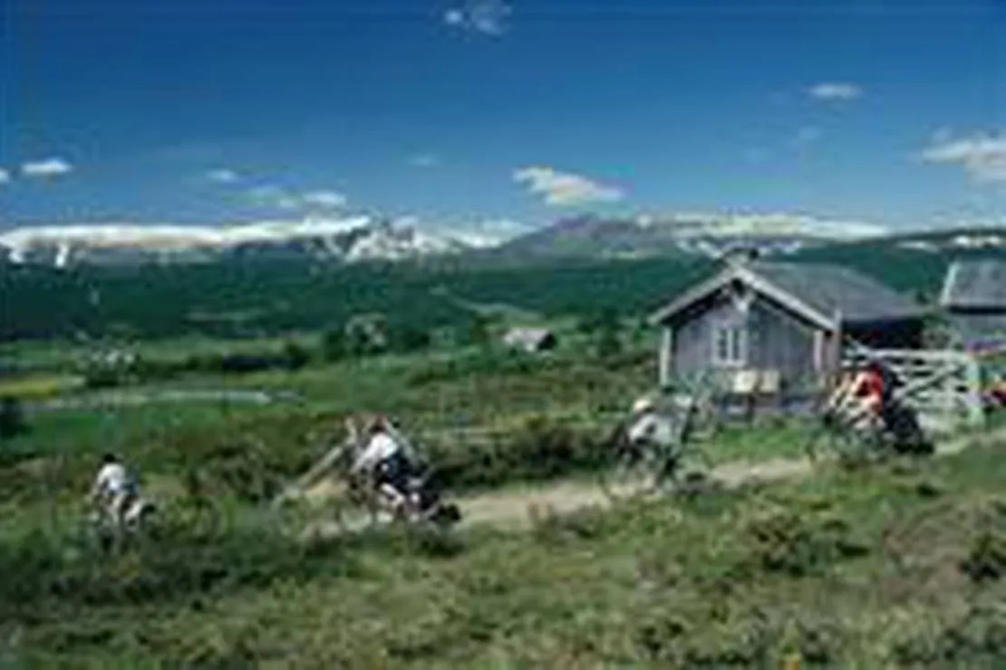vaset-senteret-caravanpark-ron-gsanm