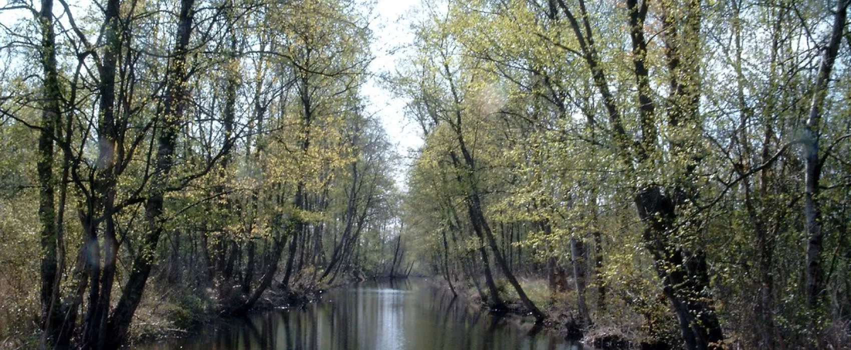 De Wieden